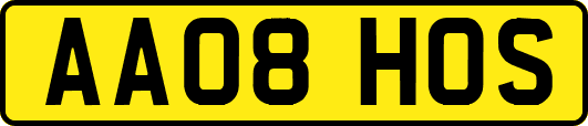 AA08HOS