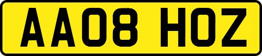 AA08HOZ
