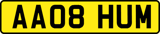 AA08HUM
