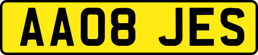 AA08JES