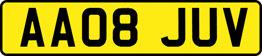AA08JUV
