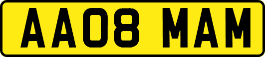 AA08MAM