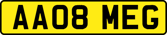 AA08MEG