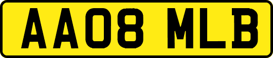 AA08MLB
