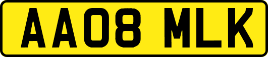 AA08MLK