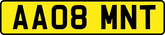 AA08MNT
