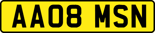AA08MSN
