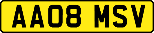AA08MSV
