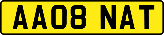AA08NAT