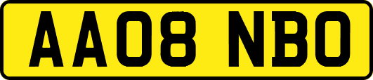 AA08NBO