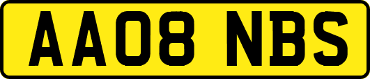AA08NBS