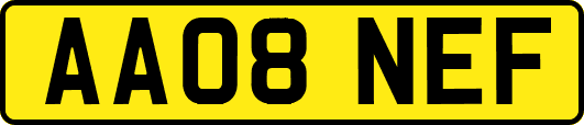 AA08NEF