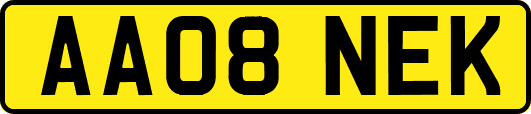 AA08NEK