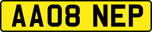AA08NEP
