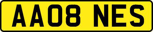 AA08NES