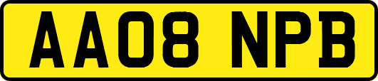 AA08NPB