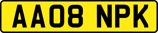 AA08NPK