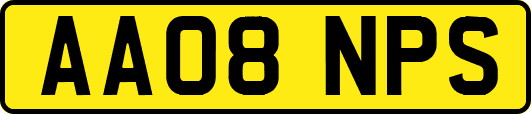 AA08NPS
