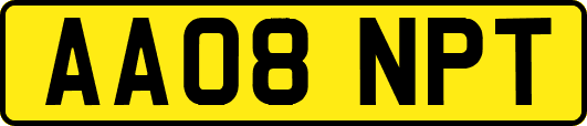 AA08NPT