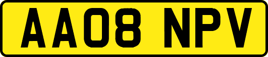 AA08NPV