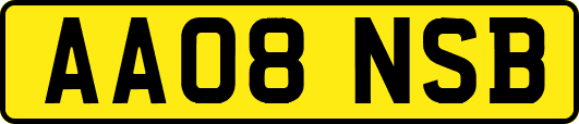 AA08NSB