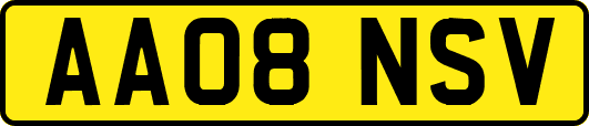 AA08NSV