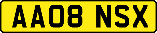 AA08NSX