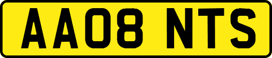 AA08NTS