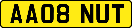 AA08NUT