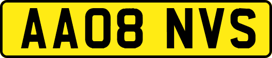 AA08NVS