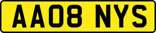 AA08NYS