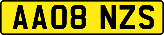 AA08NZS