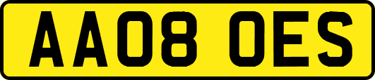 AA08OES
