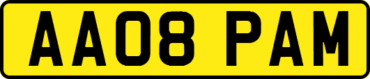 AA08PAM