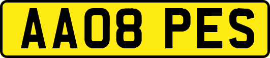 AA08PES