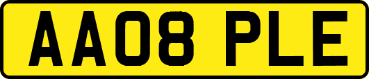 AA08PLE