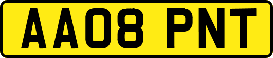 AA08PNT