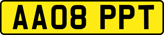 AA08PPT