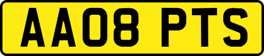 AA08PTS