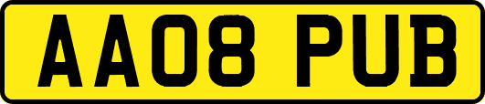 AA08PUB