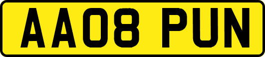 AA08PUN