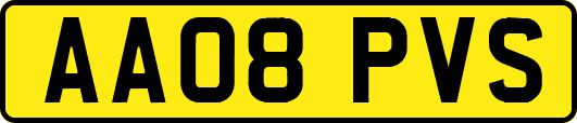 AA08PVS