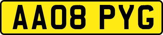 AA08PYG