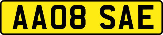 AA08SAE