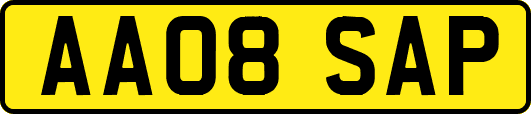 AA08SAP