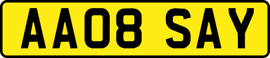 AA08SAY
