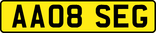 AA08SEG