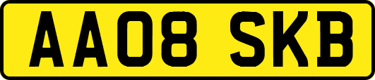AA08SKB