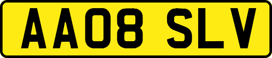 AA08SLV