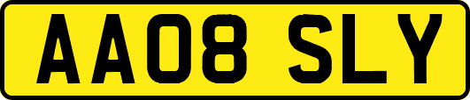 AA08SLY